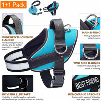 Haapaw Essential Dog Harness - L / Blue - image 2