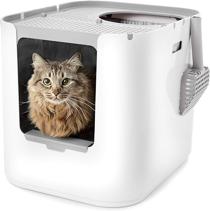 Modkat® XL Litter Box, Top or Front-Entry Configurable, Full Height Seamless Base, Reusable Litter Liners, Sifting Litter Scoop, 2X Bamboo Charcoal Filters - White