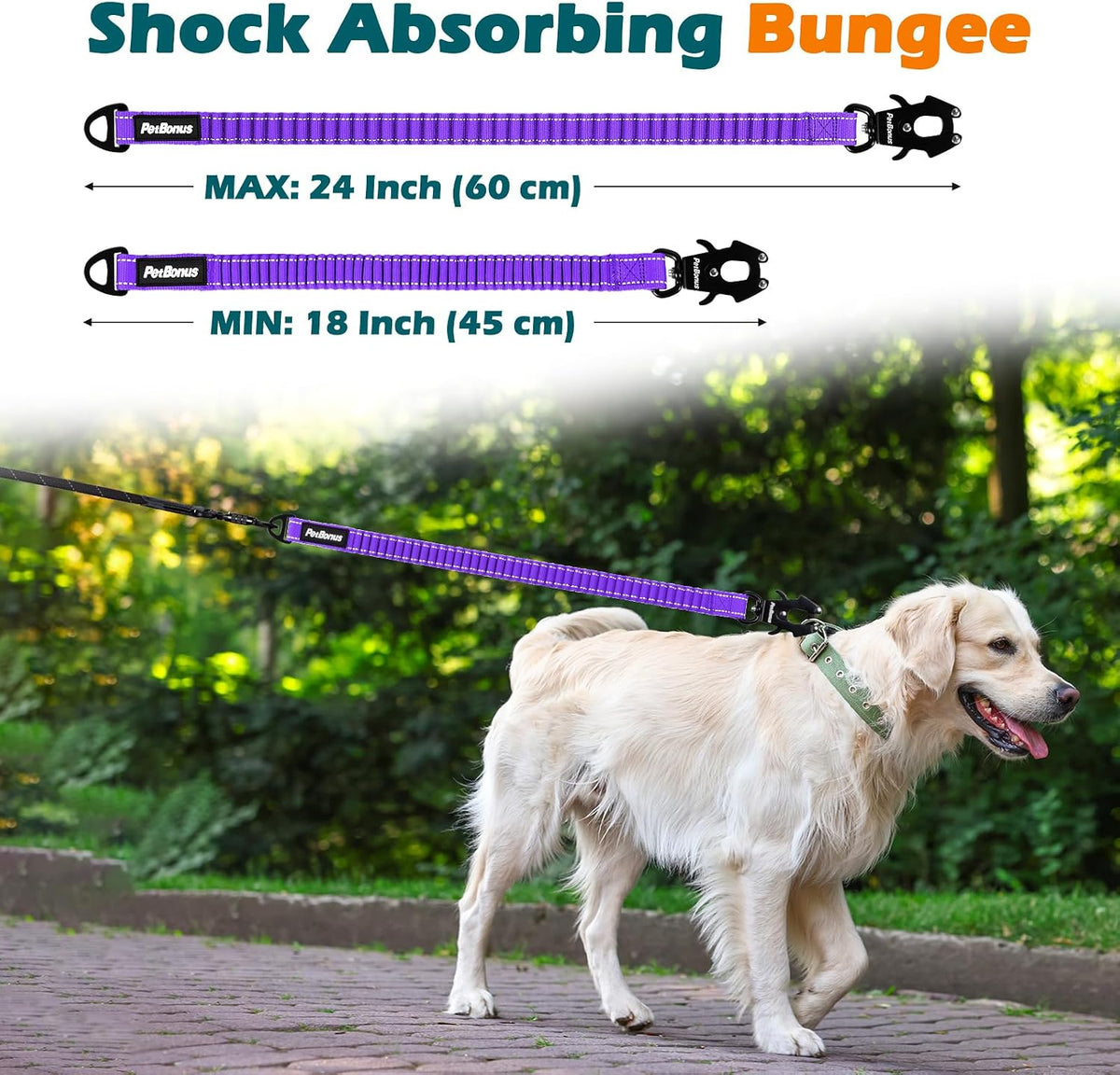 PetBonus Bungee Dog Leash Extension - Purple - image 3