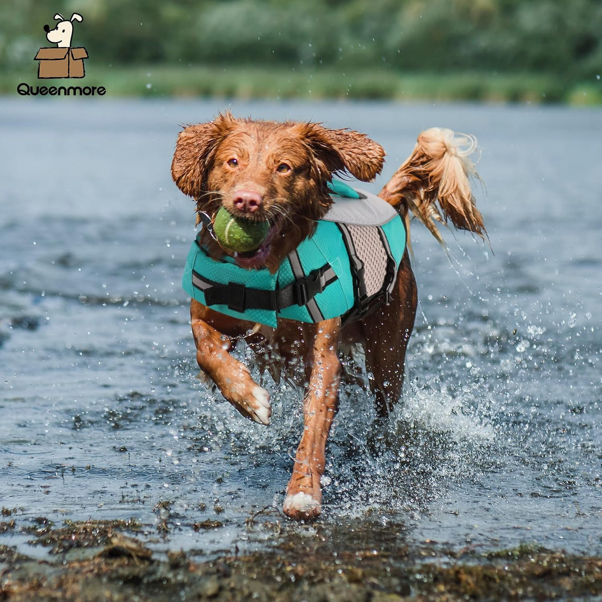 Dog Life Jacket, Small Float Vest for Swimming Boating Kayaking - Small / Peacock Green - image 4