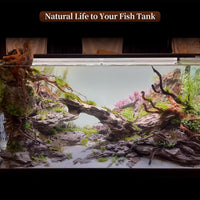 majoywoo Natural Driftwood for Aquarium Decor Fish Tank Decor Reptile - Spiderwood 13 to 17 Inch(Pack of 1) - image 4