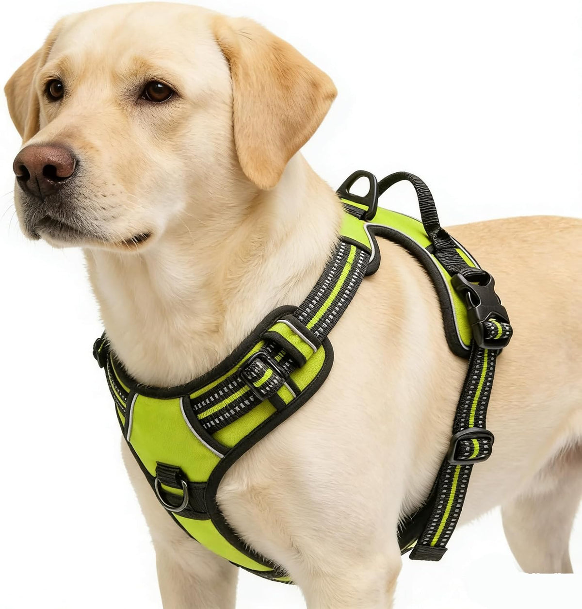Blue No-Pull Dog Harness with 2 Leash Clips，Soft Padded Vest - X-Large / Green