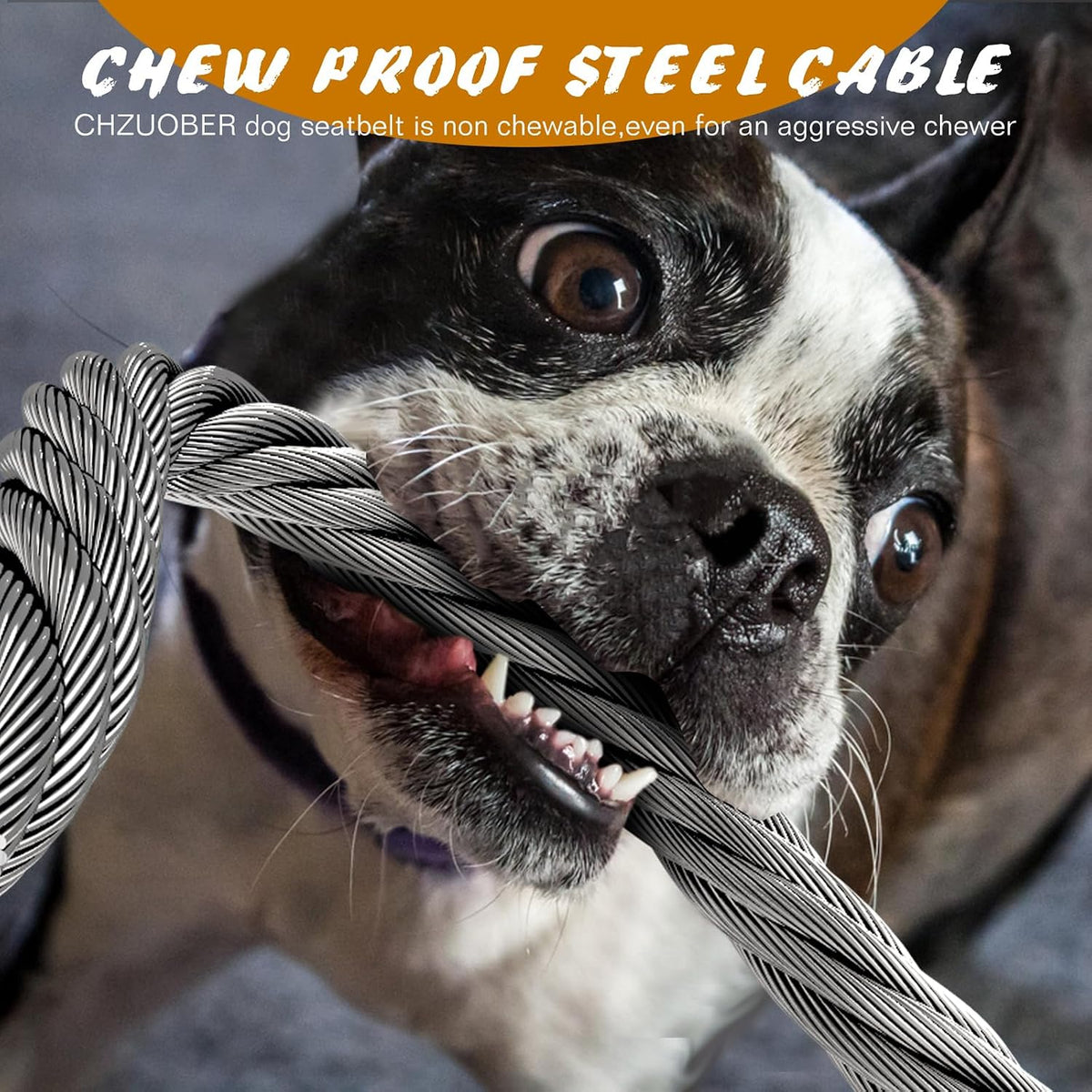Chew Proof Dog Car Seat Belt - Black(Dual Dog) / 1 Pack - image 2