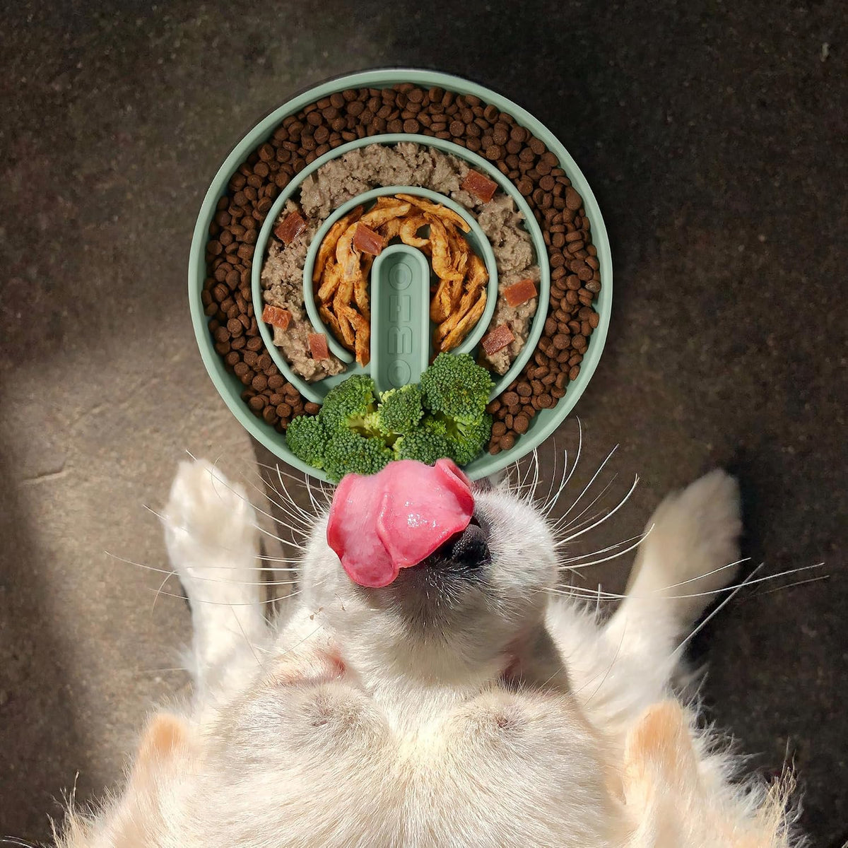 OHMO Slow Feeder Dog Bowl, 5.9" Lick Mat for Dogs, Tree of Life - Sage Green / Infinite-M(7.3“) - image 3
