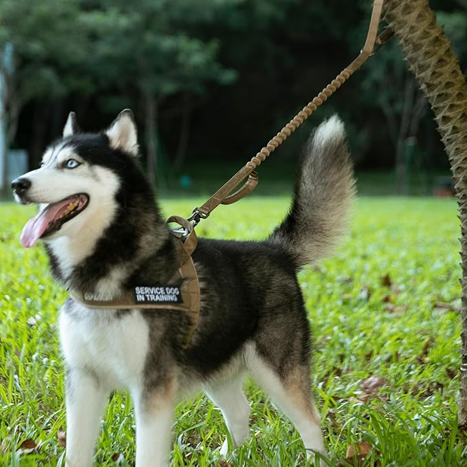 EXCELLENT ELITE SPANKER Bungee Dog Leash Tactical Nylon Adjustable Tactical No Pull Leads Rope for Dogs Quick Release Military Rope with 2 Control Handle (MCP)