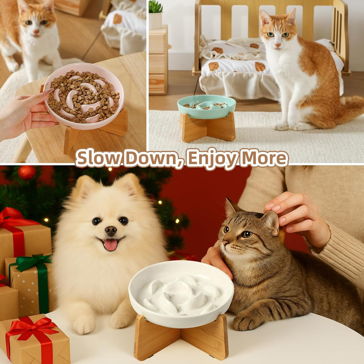 Ceramic Slow Feeder Cat Bowl - White Elevated (Bamboo) / 3.7"H Elevated (Bamboo) - image 4