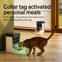 PETLIBRO RFID Automatic Cat Feeder - Brown / 3L*2 pack - image 3