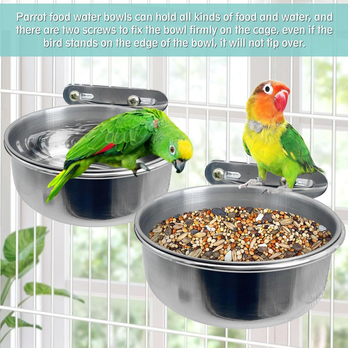 PINVNBY Parrot Feeding Cups Birds Food Dish Stainless Steel Parrot - Double screw / S - image 2