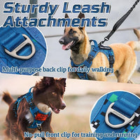 rabbitgoo Tactical Dog Harness Medium Sized Dog, No Pull Military Service Vest with Handle & Molle, Easy Control for Training Walking, Adjustable Reflective Straps, Blue Camo, M