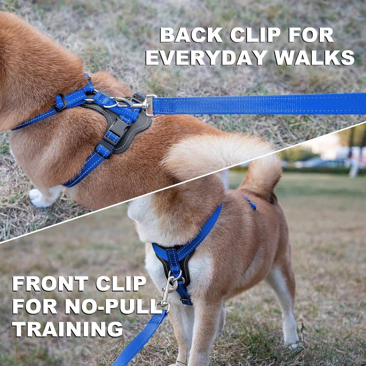 Plutus Pet No Pull Dog Harness with Leather Accents - S / Royal Blue - image 3