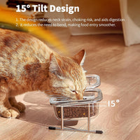 Elevated Cat Bowls, 15° Tilted Glass Raised Cat Food and Water Bowl – Essentials for Cats - 2 Glass Bowls - image 2