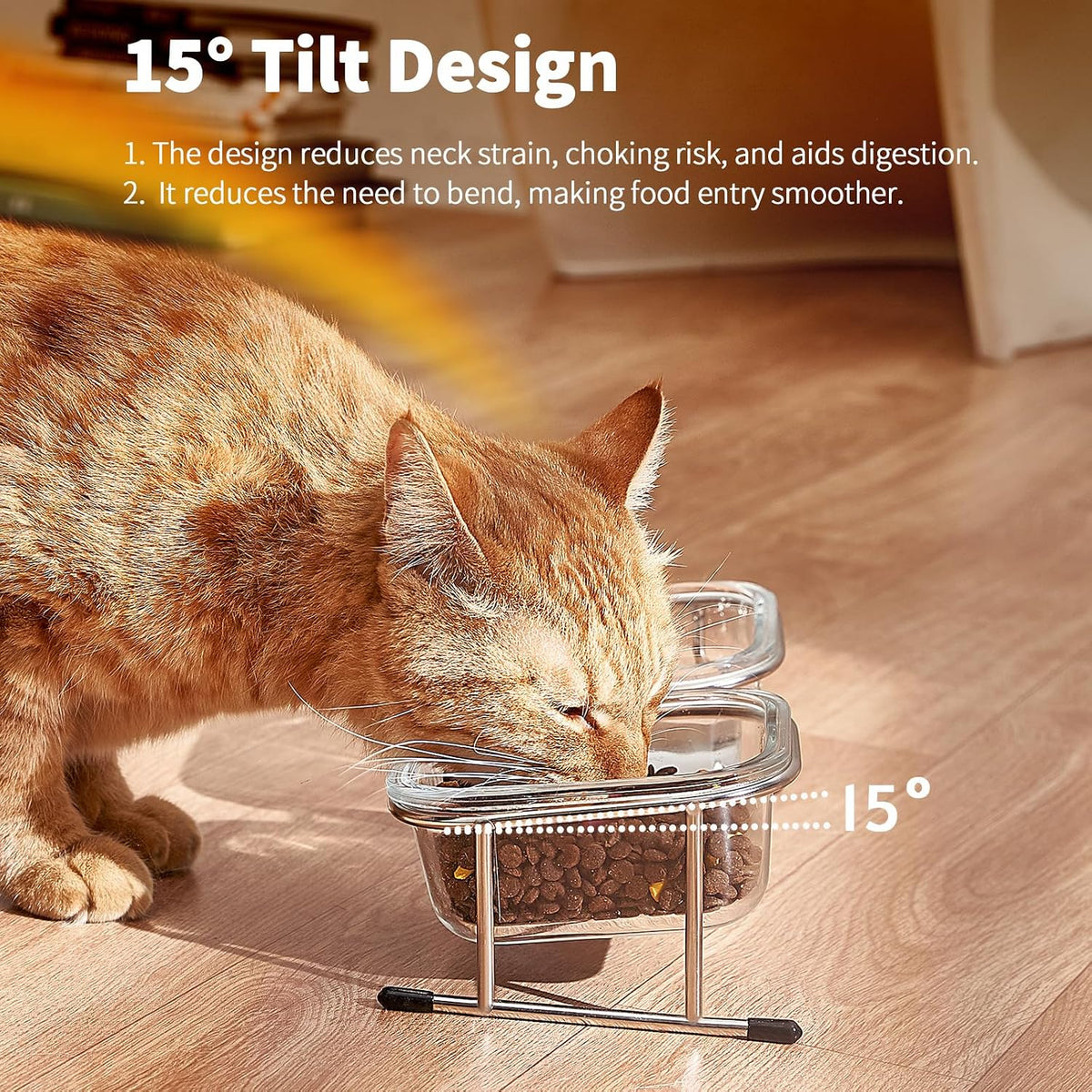 Elevated Cat Bowls, 15° Tilted Glass Raised Cat Food and Water Bowl – Essentials for Cats - 2 Glass Bowls - image 2