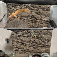 PINVNBY Reptile Terrarium Cork Background - 【Natural Cork Bark 】 / 【2 PCS】 - image 2