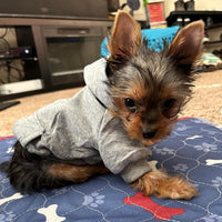 Soft Dog Hoodies for Small Dogs - Grey / Large - image 2
