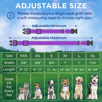 Reflective Neoprene Padded Dog Collar with Quick Release Buckle – Essentials for Dogs - Purple / X-Small - image 4