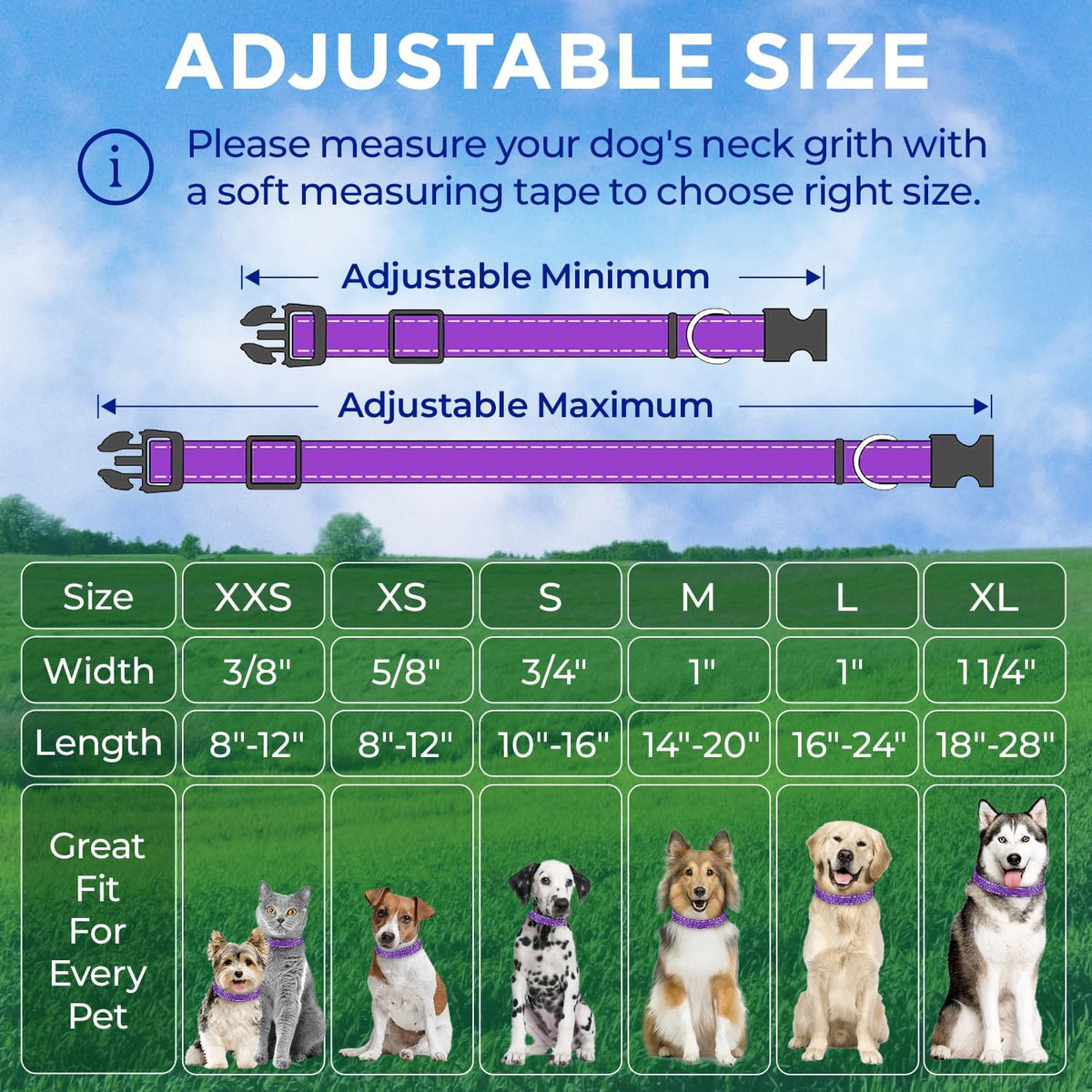 Reflective Neoprene Padded Dog Collar with Quick Release Buckle – Essentials for Dogs - Purple / X-Small - image 4