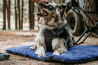 K9 Ballistics Tough Ripstop Dog Crate Pad - Durable & Machine Washable with Non-Skid Bottom and 120-Day Warranty, Fits 36" Wire Crates - Medium, Sandstone