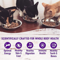 Wellness Healthly Indulgence Morsels Adult Wet Cat Food, Natural, Protein-Rich, Grain Free, 3 Ounce Pouch, 24 Pack, (Tuna)