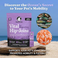 Vital Hip & Joint Supplement for Dogs and Cats - Dog Joint Supplement, Mobility Support, Inflammation Defense, Green Lipped Mussels, Krill, Collagen for Dogs, Veterinarian Developed, 30 Packets
