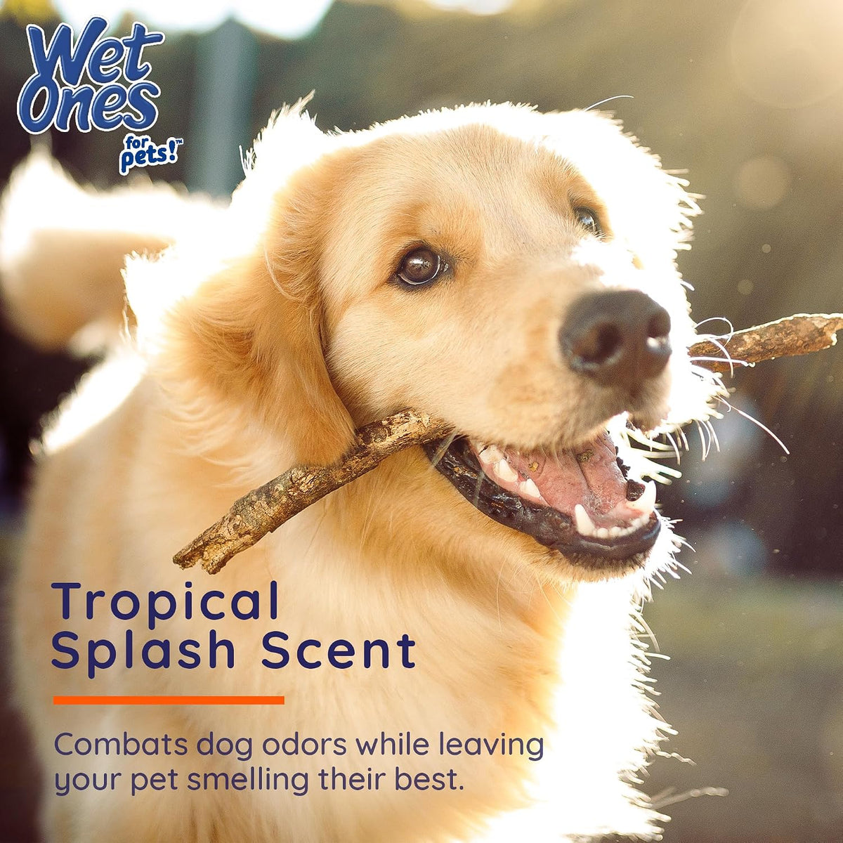 Wet Ones for Pets Antibacterial Dog Wipes - Tropical Splash - Heavy Duty / 50 Count (Pack of 1) - image 4