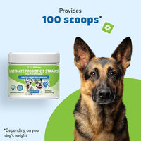 Pet Wellbeing - Ultimate Probiotic 9 Strains for Cats and Dogs - Natural Support for Digestion and Urinary Tract Health 160 Grams.