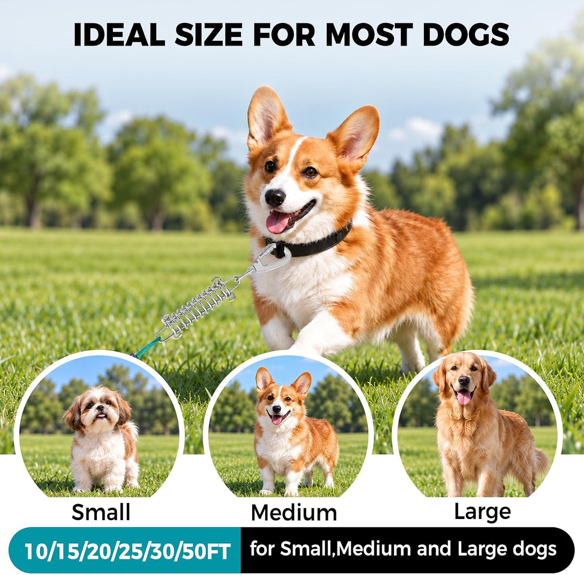 Tie Out Cable for Dogs, 50FT Dog Leads for Yard Chew Proof, Heavy Duty Leash for Large Dogs Up - 125lbs / 30ft / Ice Blue - image 3