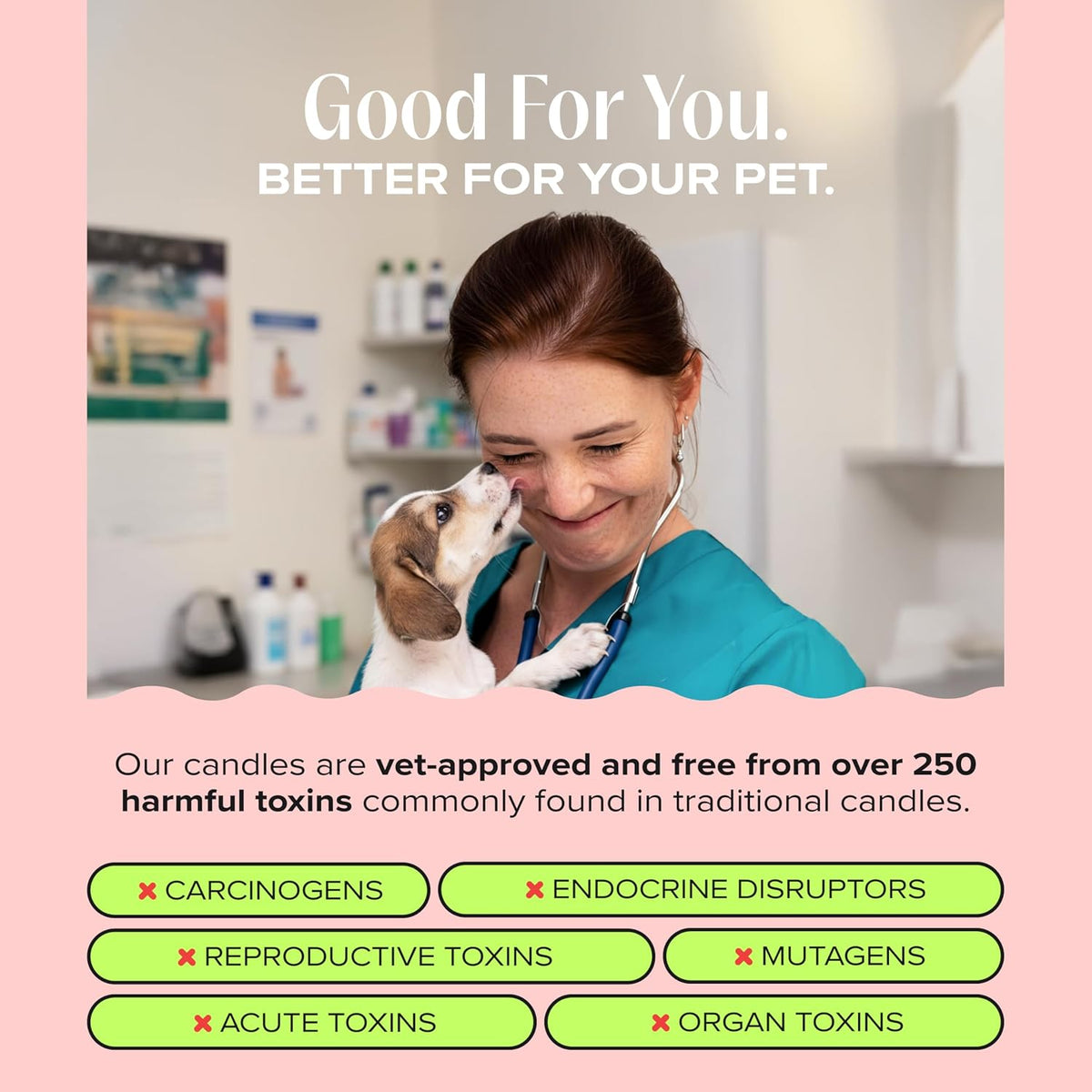 Nostalgia Pet-Friendly Scented Candle - Anywhere With You - 11.8oz / Anywhere with You - image 3