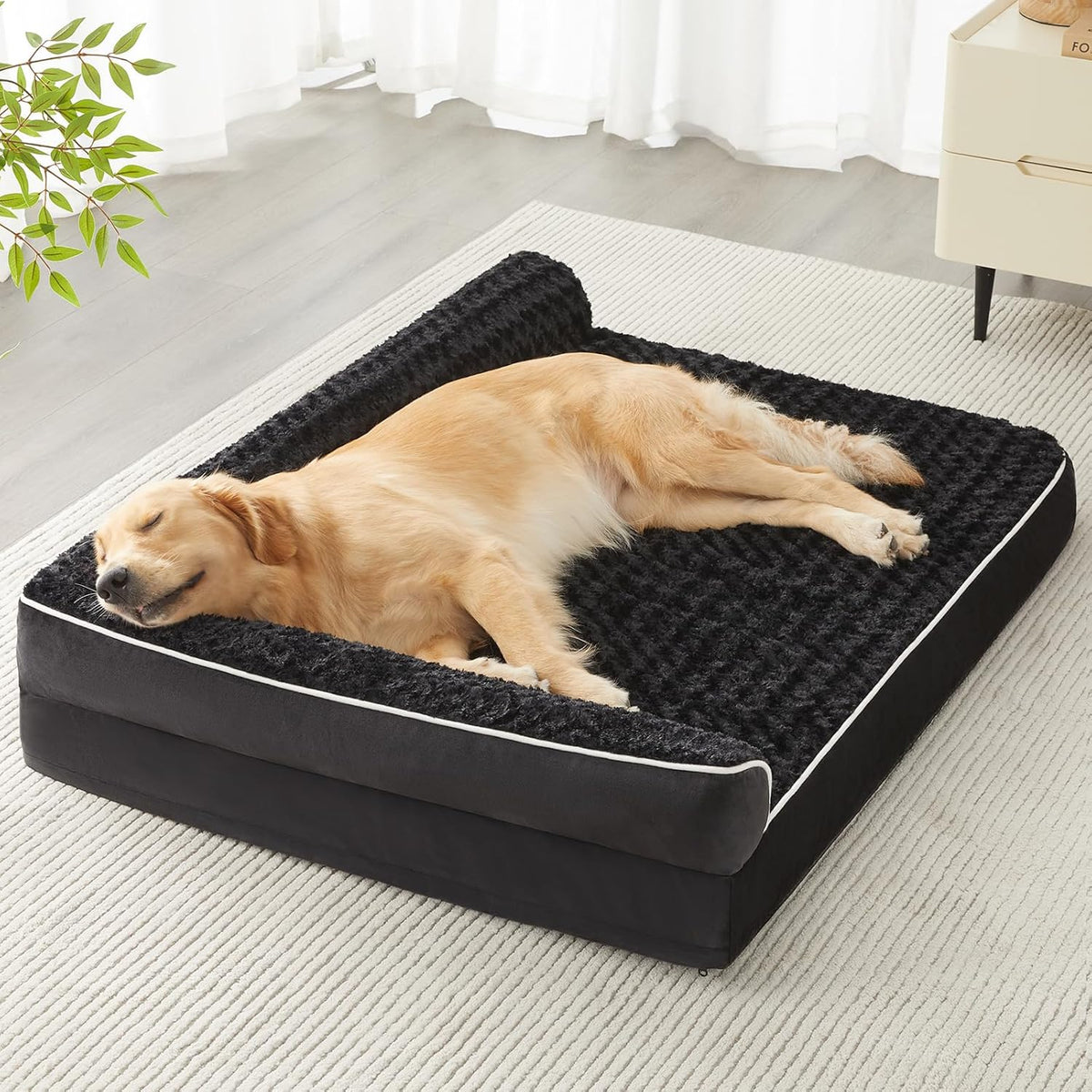 Orthopedic Washable Dog Bed - Black / 54.0"l x 36.0"w x 7.5"th