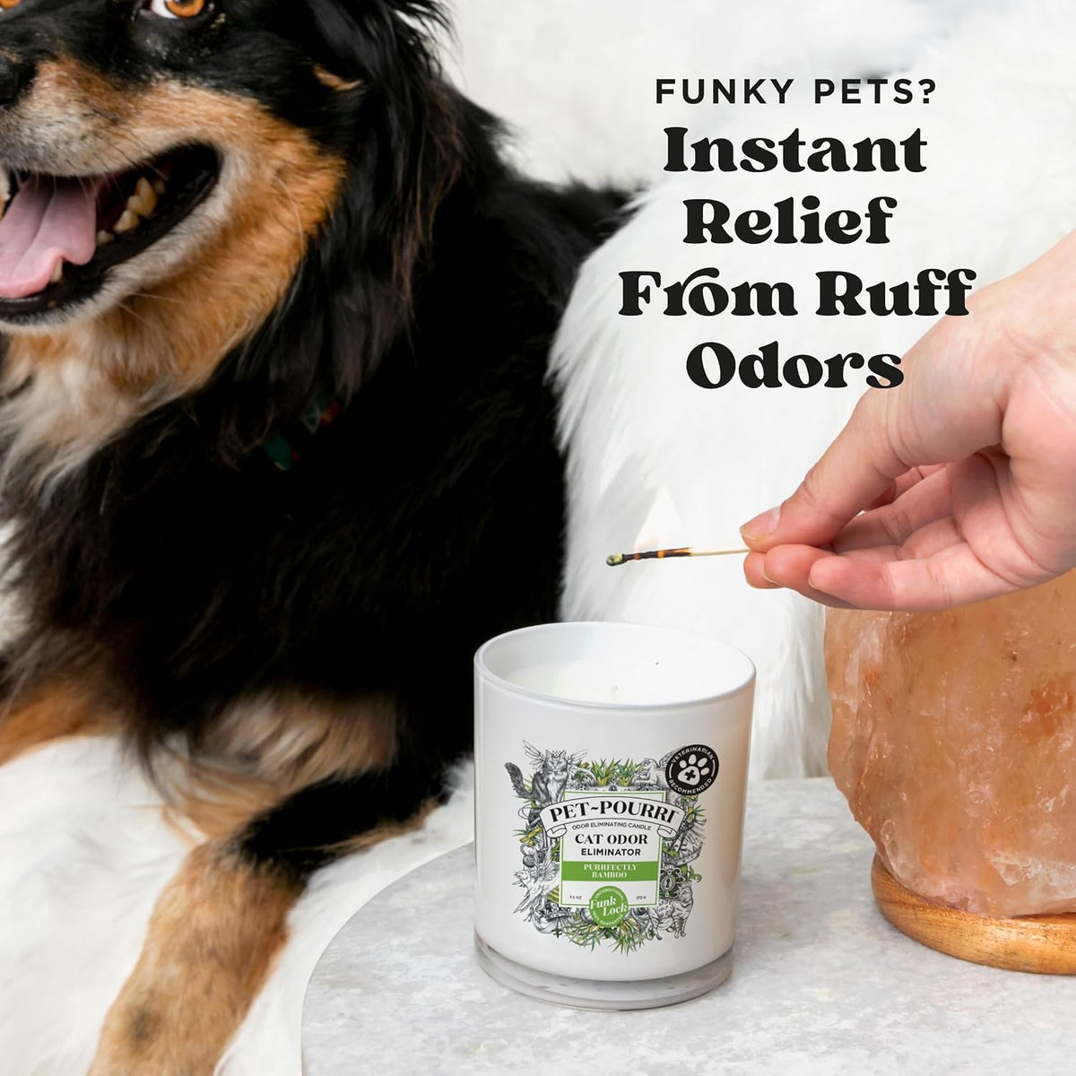 Pet-Pourri Pawsitively Fresh Pet Odor Deodorizer Candle - Purrfectly Bamboo - image 4
