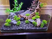 Natural Slate Stone 5 to 7 Inches - USA Sourced and Packaged for Aquascaping Aquariums, Terrariums, Paludariums, Reptile Enclosures, and Gardens (10lbs)