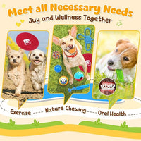 KIPRITII 25 Pack Various Puppy Dog Toys for Teething, Entertainment & Interaction, Puppy Chew Toys Pack with Rope Toy, Treat Balls and Dog Squeaky Toys for Puppies & Small Dogs