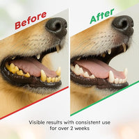 Dog Teeth Cleaning Powder - Dog Breath Freshener + Dental Care for Doggies & Cats + Tartar Remover for Teeth with Natural Ingredients + Probiotics Blend (Mint - 200g)