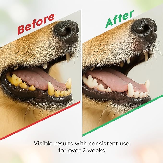 Dog Teeth Cleaning Powder - Dog Breath Freshener + Dental Care for Doggies & Cats + Tartar Remover for Teeth with Natural Ingredients + Probiotics Blend (Mint - 200g)