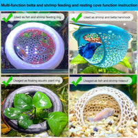 2pcs Wood Fish Feeding Ring for Aquarium，Floating Betta Hammock - Green / 1pcs big and 1pcs small floating version - image 3