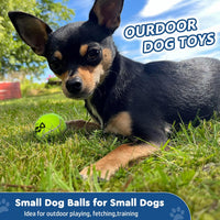 INSUM Tennis Balls for Dogs - Small / Classic - image 3