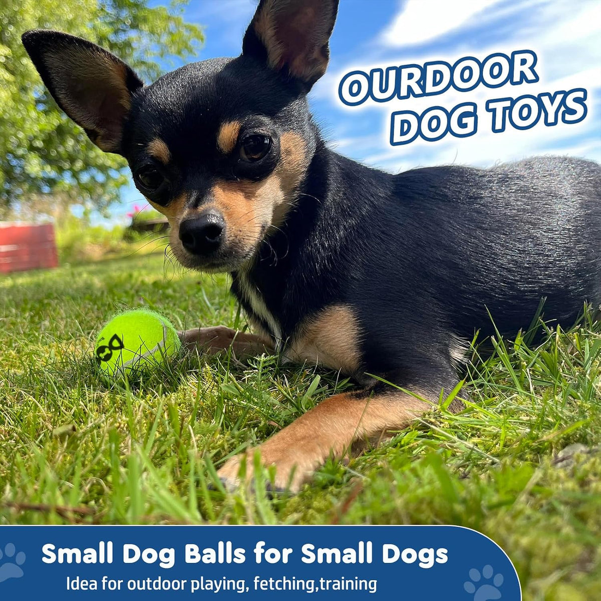 INSUM Tennis Balls for Dogs - Small / Classic - image 3
