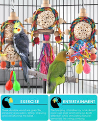 Bissap 2PCS Conure Toys, Foraging Bird Chew Sola Balls Toy for Small Parrot – Essentials for Birds - 3 PCS - image 4