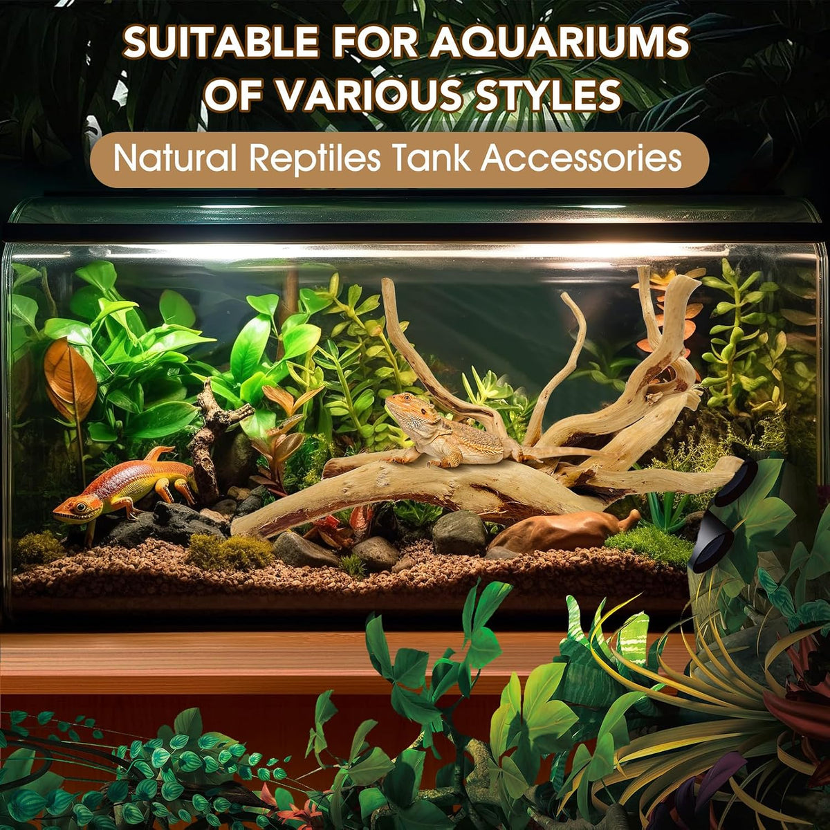 Natural Aquarium Driftwood for Fish Tank Reptile Terrariums Decor – Essentials for Fish - Spiderwood 11 to 14 Inch (Pack of 2) - image 4