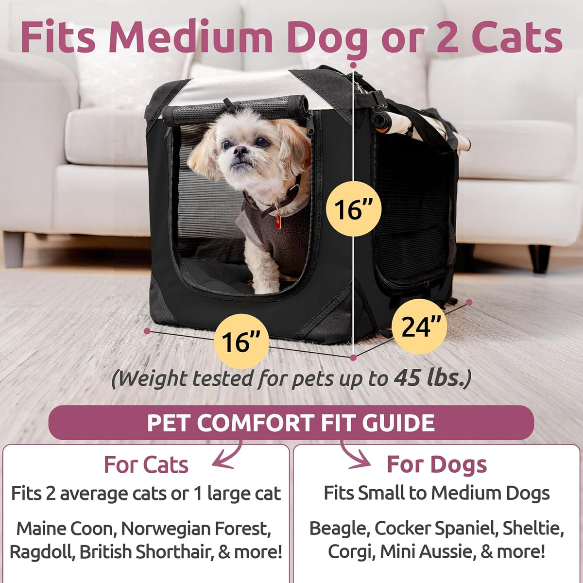 Cat & Dog Pet Carrier, Fits 2 Cats or Medium Dog Comfortably - Black / Large - image 3