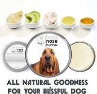 The Blissful Dog Bloodhound Nose Butter for Dry, Cracked Skin, Lick-Safe Dog Nose Balm with Moisturizing Shea Butter, Almond, Olive, and Essential Oils, Pet Supplies, Uncented, 1 oz.