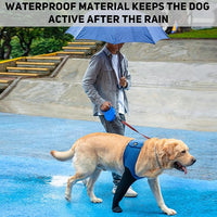 COODEO Dog Socks to Prevent Licking Paws, Healing Boots & Paw Protectors with Non-Slip Bottoms for Wound Protection, Waterproof Sleeve Shoes for Licking（Blue，M_Left