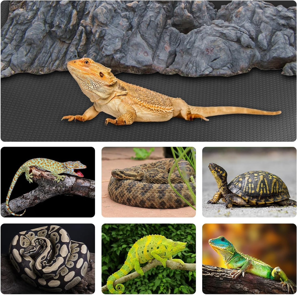 120 Gallon Reptile Terrarium Liner - 24 X 96-inches / Black - image 2