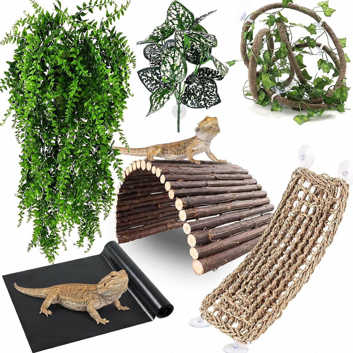RUNANIA Bearded Dragon Tank Accessories - Large