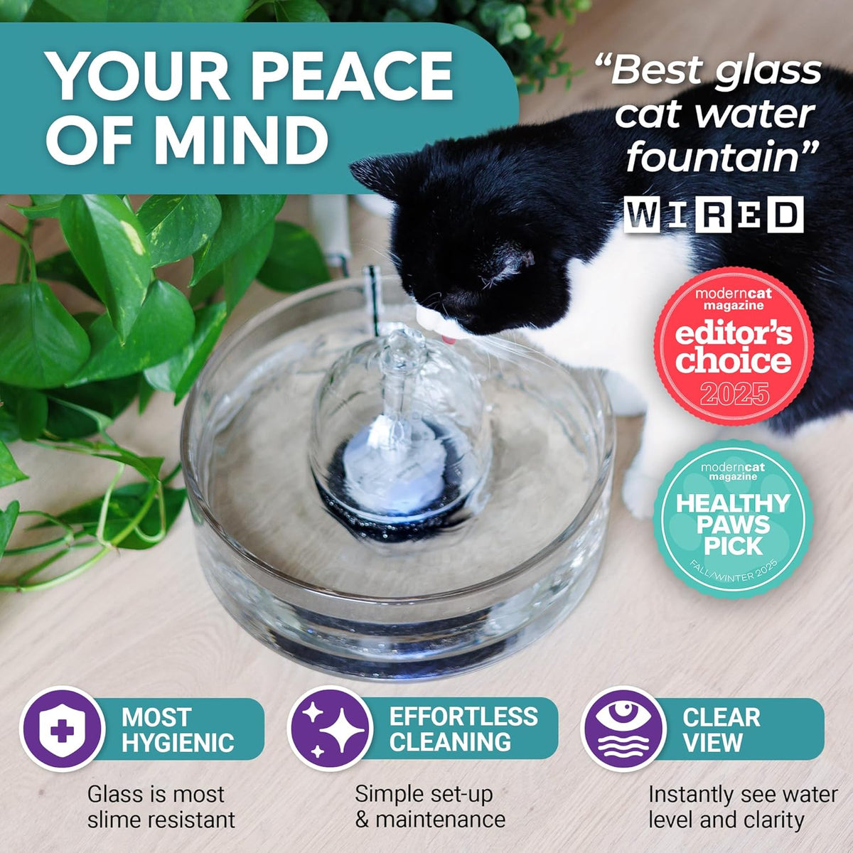 Brook Glass Cat Water Fountain 90oz - image 3