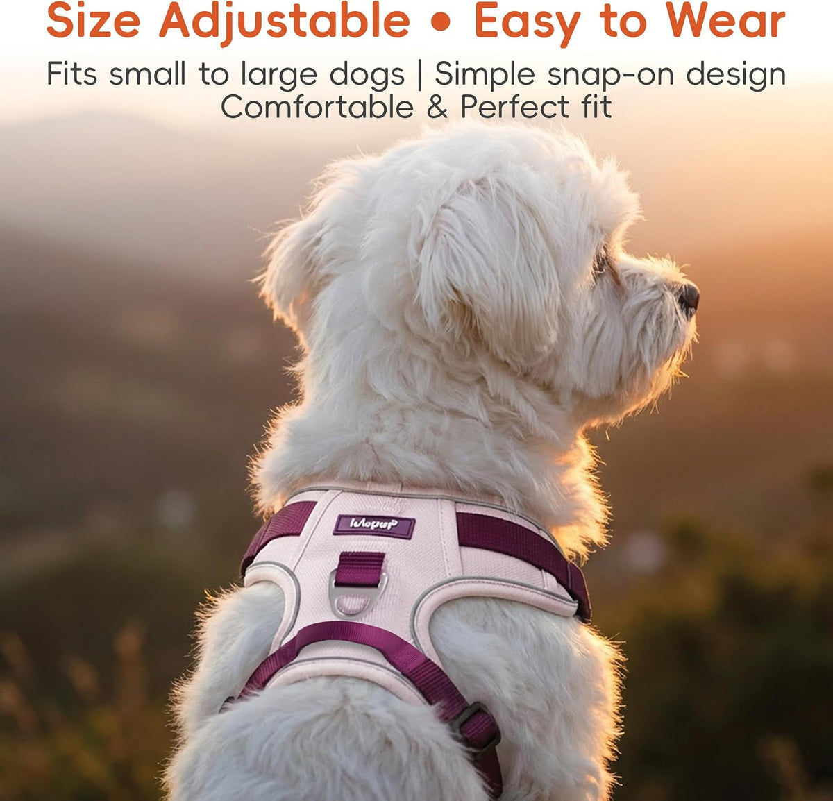 Dog Harness and Leash Set with Collar - Pink / L(Neck:22.0-29.1",Chest:26.8-34.6") - image 2