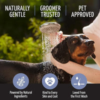 Tauro Pro Line Moisturizing Dog Shampoo for Smelly Dogs, Deodorizing All Natural Dog Wash, Pet Coat Protection, Cat & Puppy Shampoo for Dry Sensitive Skin (Magic Plex - 13.5 Fl Oz)