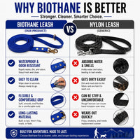 Biothane Leash, Brass, 6 ft x 5/8, Black – Essentials for Dogs - 5/8 / Blue - image 3