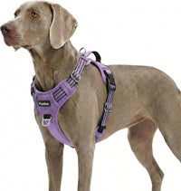 Funfox Dog Harness Medium Sized Dog - Purple / X-Large
