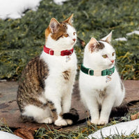 ARING PET 2 pack velvet breakaway cat collars with bells - view 4