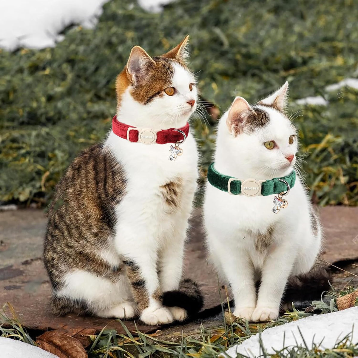 ARING PET 2 pack velvet breakaway cat collars with bells - view 4